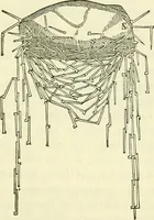 An illustration from Davis's manual of magnetism : including galvanism, magnetism, electro-magnetism, electro-dynamics, magneto-electricity, and thermo-electricity (1854)