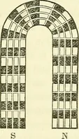 An illustration from Davis's manual of magnetism : including galvanism, magnetism, electro-magnetism, electro-dynamics, magneto-electricity, and thermo-electricity (1854)