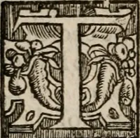 An illustration from Davngerovs positions and proceedings : published and practised within this Iland of Brytaine, vnder pretence of Reformation, and for the Presbiteriall discipline (1593)
