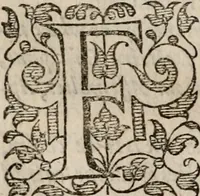 An illustration from Davngerovs positions and proceedings : published and practised within this Iland of Brytaine, vnder pretence of Reformation, and for the Presbiteriall discipline (1593)