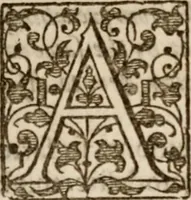 An illustration from Davngerovs positions and proceedings : published and practised within this Iland of Brytaine, vnder pretence of Reformation, and for the Presbiteriall discipline (1593)