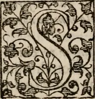 An illustration from Davngerovs positions and proceedings : published and practised within this Iland of Brytaine, vnder pretence of Reformation, and for the Presbiteriall discipline (1593)