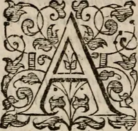 An illustration from Davngerovs positions and proceedings : published and practised within this Iland of Brytaine, vnder pretence of Reformation, and for the Presbiteriall discipline (1593)