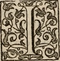 An illustration from Davngerovs positions and proceedings : published and practised within this Iland of Brytaine, vnder pretence of Reformation, and for the Presbiteriall discipline (1593)
