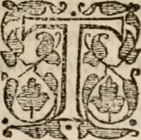 An illustration from Davngerovs positions and proceedings : published and practised within this Iland of Brytaine, vnder pretence of Reformation, and for the Presbiteriall discipline (1593)