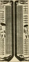 An illustration from The dawn of astronomy; a study of the temple-worship and mythology of the ancient Egyptians (1894)