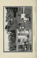 An illustration from Daybreak in the dark continent (1905)