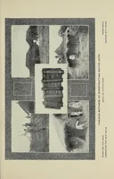 An illustration from Daybreak in the dark continent (1905)