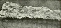 An illustration from Décor du métal : le cuivre et le bronze (1917)