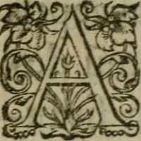 An illustration from De aeterna felicitate sanctorvm libri qvinqve (1616)