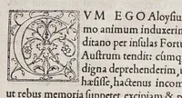 An illustration from De Aloysii Cadamusti Itineribus ad terras incognitas (1515)