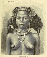 An illustration from De Angola á contra-costa; descripção de uma viagem atravez do continente africano .. (1886)