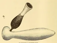 Picture 11 of 11 from De Angola á contra-costa; descripção de uma viagem atravez do continente africano .. (1886), leaf 500