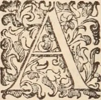 An illustration from De animalibus insectis libri septem : cum singulorum iconibus ad viuum expressis / autore Ulysse Aldrovando ... ; ad sereniss: Franc. Mariam Secundum ... (1602)