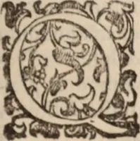 An illustration from De animalibus insectis libri septem : cum singulorum iconibus ad viuum expressis / autore Ulysse Aldrovando ... ; ad sereniss: Franc. Mariam Secundum ... (1602)