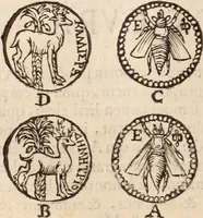 Picture 39 of 515 from De animalibus insectis libri septem : cum singulorum iconibus ad viuum expressis / autore Ulysse Aldrovando ... ; ad sereniss: Franc. Mariam Secundum ... (1602), leaf 127