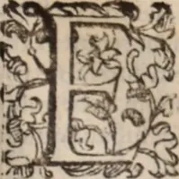 An illustration from De animalibus insectis libri septem : cum singulorum iconibus ad viuum expressis / autore Ulysse Aldrovando ... ; ad sereniss: Franc. Mariam Secundum ... (1602)
