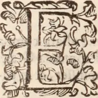 An illustration from De animalibus insectis libri septem : cum singulorum iconibus ad viuum expressis / autore Ulysse Aldrovando ... ; ad sereniss: Franc. Mariam Secundum ... (1602)
