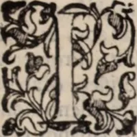 An illustration from De animalibus insectis libri septem : cum singulorum iconibus ad viuum expressis / autore Ulysse Aldrovando ... ; ad sereniss: Franc. Mariam Secundum ... (1602)