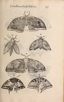 An illustration from De animalibus insectis libri septem : cum singulorum iconibus ad viuum expressis / autore Ulysse Aldrovando ... ; ad sereniss: Franc. Mariam Secundum ... (1602)
