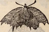 An illustration from De animalibus insectis libri septem : cum singulorum iconibus ad viuum expressis / autore Ulysse Aldrovando ... ; ad sereniss: Franc. Mariam Secundum ... (1602)