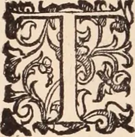 An illustration from De animalibus insectis libri septem : cum singulorum iconibus ad viuum expressis / autore Ulysse Aldrovando ... ; ad sereniss: Franc. Mariam Secundum ... (1602)