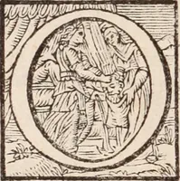 An illustration from De animalibus insectis libri septem : cum singulorum iconibus ad viuum expressis / autore Ulysse Aldrovando ... ; ad sereniss: Franc. Mariam Secundum ... (1602)