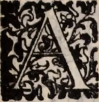 Picture 204 of 515 from De animalibus insectis libri septem : cum singulorum iconibus ad viuum expressis / autore Ulysse Aldrovando ... ; ad sereniss: Franc. Mariam Secundum ... (1602), leaf 356