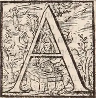 Picture 207 of 515 from De animalibus insectis libri septem : cum singulorum iconibus ad viuum expressis / autore Ulysse Aldrovando ... ; ad sereniss: Franc. Mariam Secundum ... (1602), leaf 357