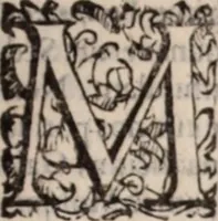 An illustration from De animalibus insectis libri septem : cum singulorum iconibus ad viuum expressis / autore Ulysse Aldrovando ... ; ad sereniss: Franc. Mariam Secundum ... (1602)