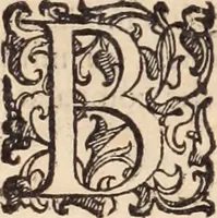 An illustration from De animalibus insectis libri septem : cum singulorum iconibus ad viuum expressis / autore Ulysse Aldrovando ... ; ad sereniss: Franc. Mariam Secundum ... (1602)