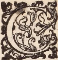 An illustration from De animalibus insectis libri septem : cum singulorum iconibus ad viuum expressis / autore Ulysse Aldrovando ... ; ad sereniss: Franc. Mariam Secundum ... (1602)