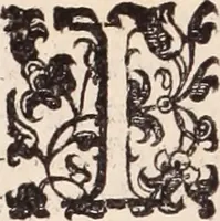 An illustration from De animalibus insectis libri septem : cum singulorum iconibus ad viuum expressis / autore Ulysse Aldrovando ... ; ad sereniss: Franc. Mariam Secundum ... (1602)