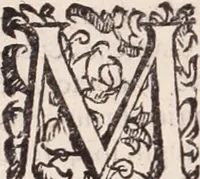 An illustration from De animalibus insectis libri septem : cum singulorum iconibus ad viuum expressis / autore Ulysse Aldrovando ... ; ad sereniss: Franc. Mariam Secundum ... (1602)