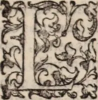 Picture 254 of 515 from De animalibus insectis libri septem : cum singulorum iconibus ad viuum expressis / autore Ulysse Aldrovando ... ; ad sereniss: Franc. Mariam Secundum ... (1602), leaf 412