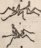 An illustration from De animalibus insectis libri septem : cum singulorum iconibus ad viuum expressis / autore Ulysse Aldrovando ... ; ad sereniss: Franc. Mariam Secundum ... (1602)