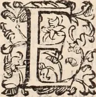 Picture 273 of 515 from De animalibus insectis libri septem : cum singulorum iconibus ad viuum expressis / autore Ulysse Aldrovando ... ; ad sereniss: Franc. Mariam Secundum ... (1602), leaf 449