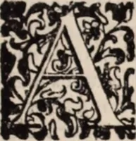 Picture 274 of 515 from De animalibus insectis libri septem : cum singulorum iconibus ad viuum expressis / autore Ulysse Aldrovando ... ; ad sereniss: Franc. Mariam Secundum ... (1602), leaf 452