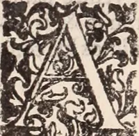 An illustration from De animalibus insectis libri septem : cum singulorum iconibus ad viuum expressis / autore Ulysse Aldrovando ... ; ad sereniss: Franc. Mariam Secundum ... (1602)