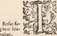 An illustration from De animalibus insectis libri septem : cum singulorum iconibus ad viuum expressis / autore Ulysse Aldrovando ... ; ad sereniss: Franc. Mariam Secundum ... (1602)