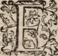 An illustration from De animalibus insectis libri septem : cum singulorum iconibus ad viuum expressis / autore Ulysse Aldrovando ... ; ad sereniss: Franc. Mariam Secundum ... (1602)