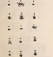 Picture 309 of 515 from De animalibus insectis libri septem : cum singulorum iconibus ad viuum expressis / autore Ulysse Aldrovando ... ; ad sereniss: Franc. Mariam Secundum ... (1602), leaf 488