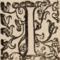 An illustration from De animalibus insectis libri septem : cum singulorum iconibus ad viuum expressis / autore Ulysse Aldrovando ... ; ad sereniss: Franc. Mariam Secundum ... (1602)
