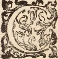 An illustration from De animalibus insectis libri septem : cum singulorum iconibus ad viuum expressis / autore Ulysse Aldrovando ... ; ad sereniss: Franc. Mariam Secundum ... (1602)