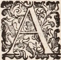 An illustration from De animalibus insectis libri septem : cum singulorum iconibus ad viuum expressis / autore Ulysse Aldrovando ... ; ad sereniss: Franc. Mariam Secundum ... (1602)