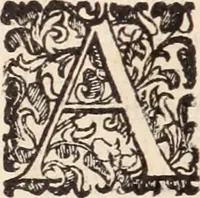An illustration from De animalibus insectis libri septem : cum singulorum iconibus ad viuum expressis / autore Ulysse Aldrovando ... ; ad sereniss: Franc. Mariam Secundum ... (1602)
