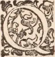 An illustration from De animalibus insectis libri septem : cum singulorum iconibus ad viuum expressis / autore Ulysse Aldrovando ... ; ad sereniss: Franc. Mariam Secundum ... (1602)