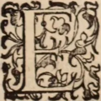 An illustration from De animalibus insectis libri septem : cum singulorum iconibus ad viuum expressis / autore Ulysse Aldrovando ... ; ad sereniss: Franc. Mariam Secundum ... (1602)