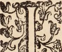 An illustration from De animalibus insectis libri septem : cum singulorum iconibus ad viuum expressis / autore Ulysse Aldrovando ... ; ad sereniss: Franc. Mariam Secundum ... (1602)