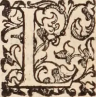 Picture 389 of 515 from De animalibus insectis libri septem : cum singulorum iconibus ad viuum expressis / autore Ulysse Aldrovando ... ; ad sereniss: Franc. Mariam Secundum ... (1602), leaf 617